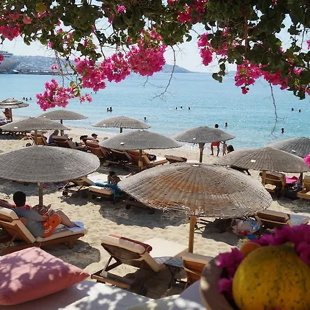 Apart-hotel Amazing View Agios Stefanos (Mykonos)