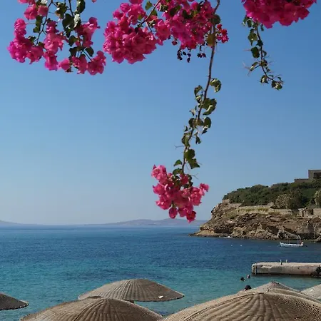 أميزنغ فيو الفندقية 3* آغيوس ستيفانوس